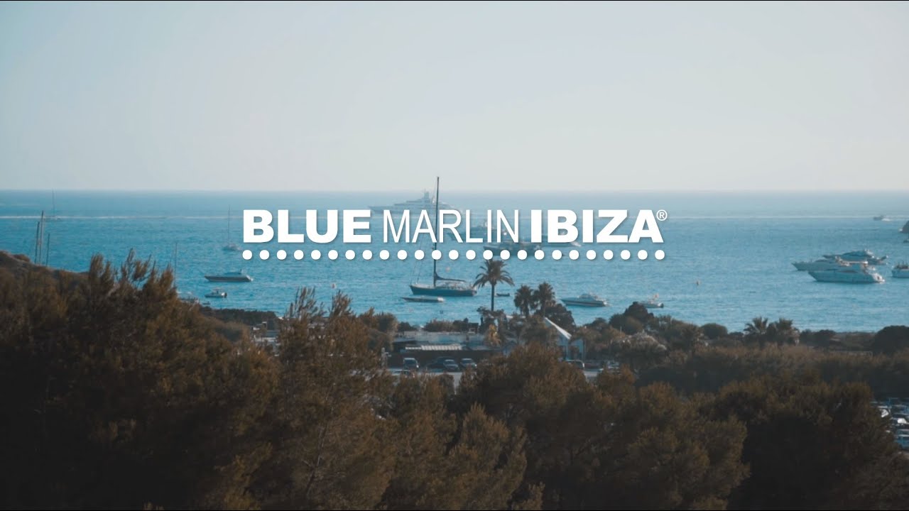 Yacht Video