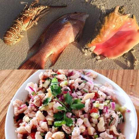 Food onboard DORIS # 4