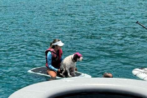 Review img # 11 of the yacht DRAGONFLY