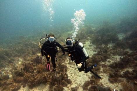 Review img # 8 of the yacht DRAGONFLY