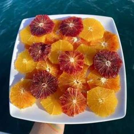 Food onboard DRAGONFLY # 2