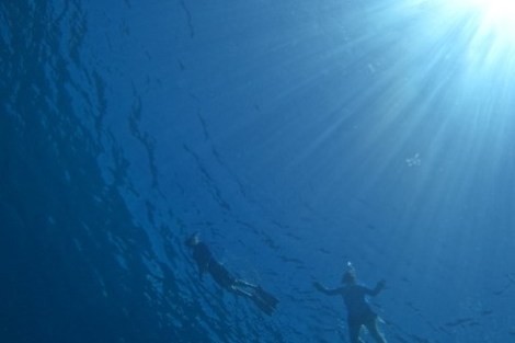 Review img # 3 of the yacht FOXY LADY