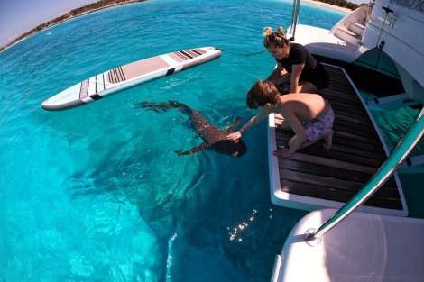 Review img # 119 of the yacht MUCHO GUSTO