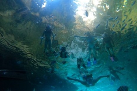 Review img # 78 of the yacht MUCHO GUSTO