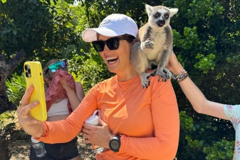 Review img # 23 of the yacht MUCHO GUSTO