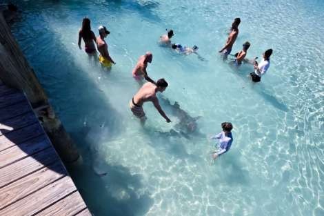 Review img # 3 of the yacht MUCHO GUSTO