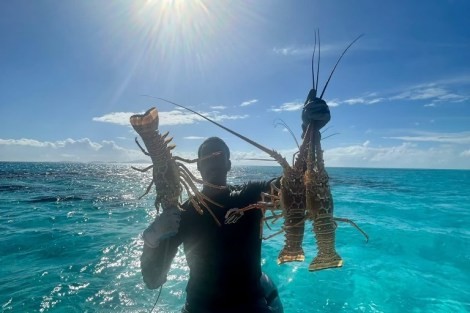 Review img # 22 of the yacht OHANA