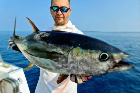 Review img # 1 of the yacht OVER REEF